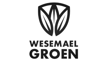 Wesemael Groen - zwart logo transparante achtergrond